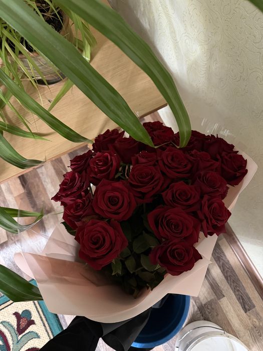 Цветы отдам дешево