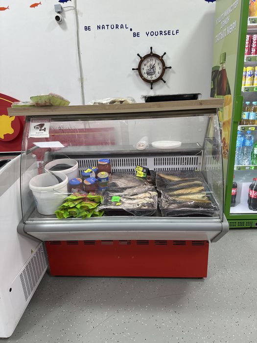 Срочно продам либо сдам в арендморозильники