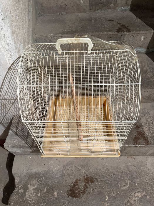 colivie mare papagali  colivie mare colivie pasari colivie pasari