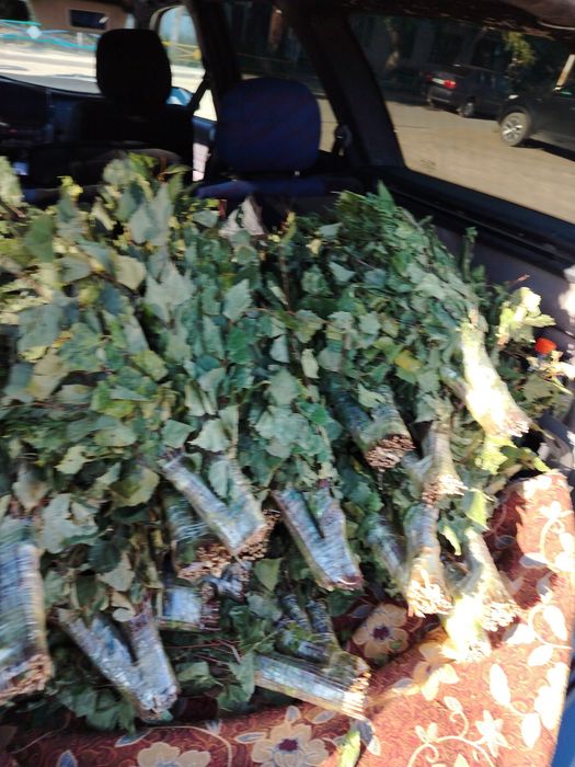 Веники урожай 2025