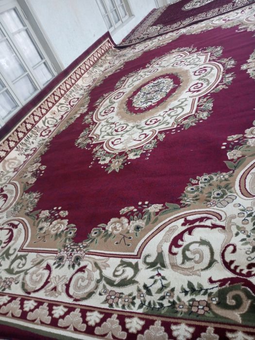 Gilam katta patlari yaxshisi