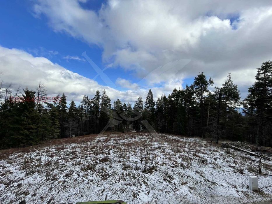 Продава се Парцел в с. Здравец, Област Пловдив - 2878 кв.м за 85 €/кв.м - Снимка #1