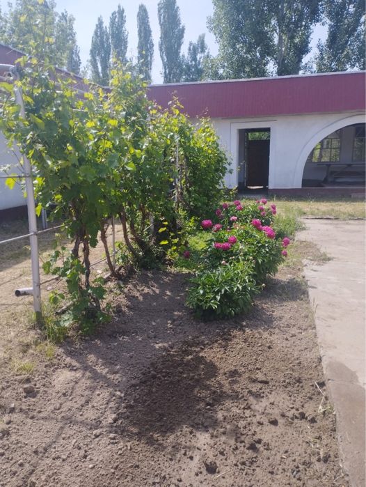 Продается 4х комнатный дом в г.Шу