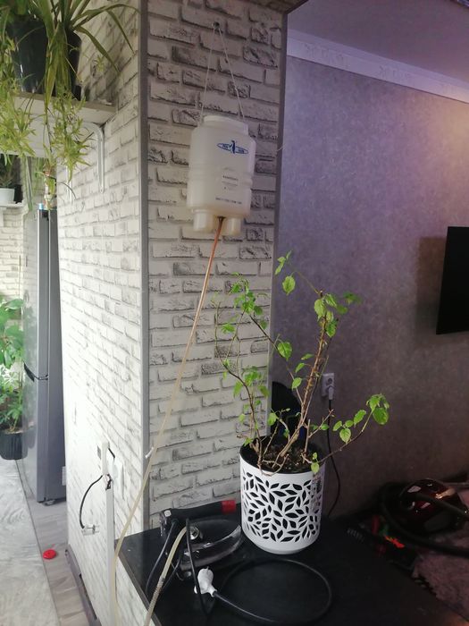 Дазмол арзон бервораман срочно