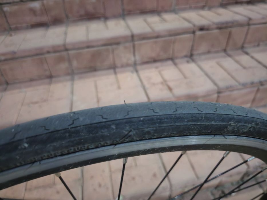 Фикс/синглспид Reid Harrier 2.0