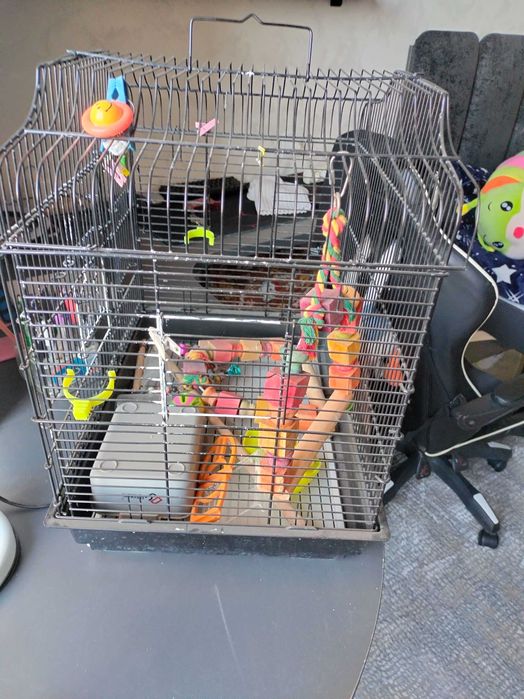 Клетка для попугаев с игрушками