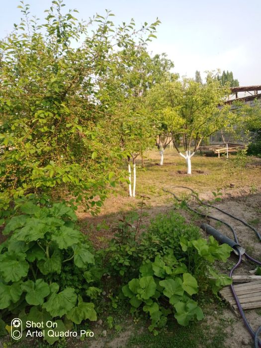 Срочно продам свой дом