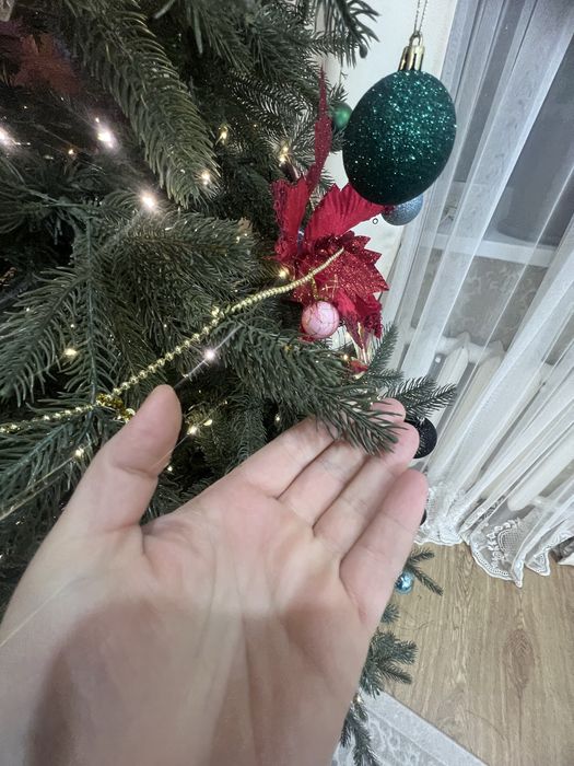 Елка 2,3м в Косшы