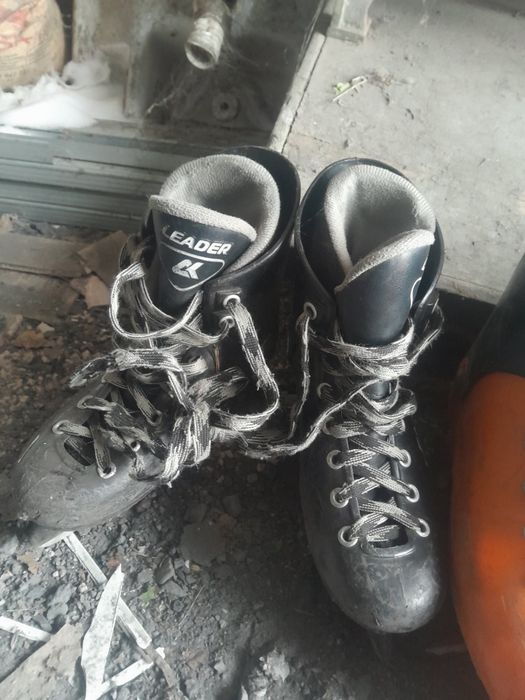 Продаю конки. СЕЛО ПЕТРОВКА!