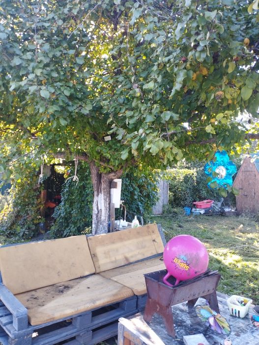 Продам дачу  на мирном.