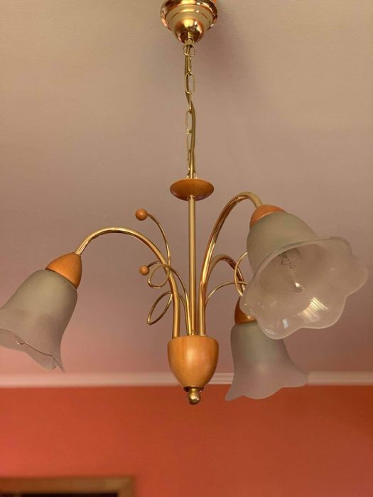 Полилеи Massiv много запазен изглежда като нов!