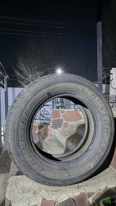 Продам Шину Dunlop