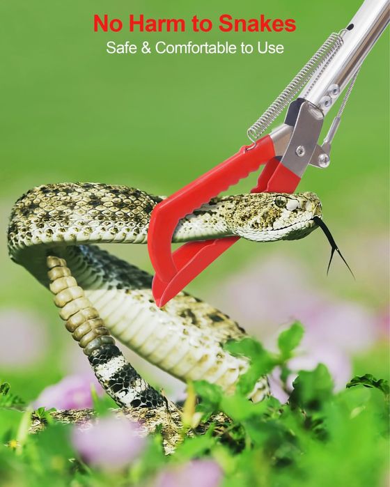 Услуги по отлову и дезинфекции змей