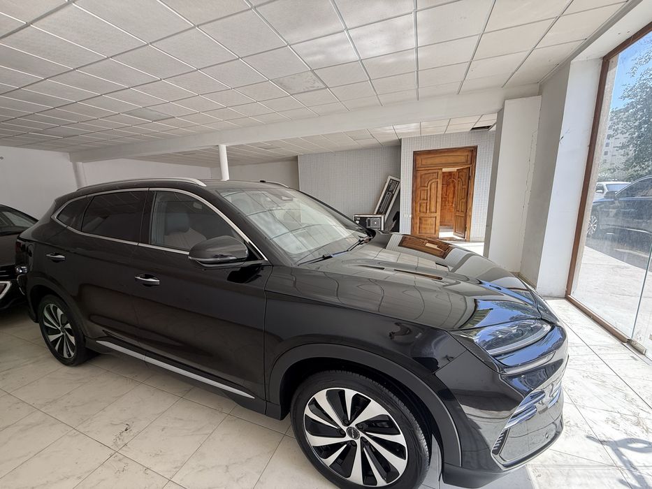 Byd song plus chempion