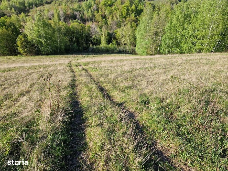 RECO, teren intravilan, Zona Sinteu, Bihor
