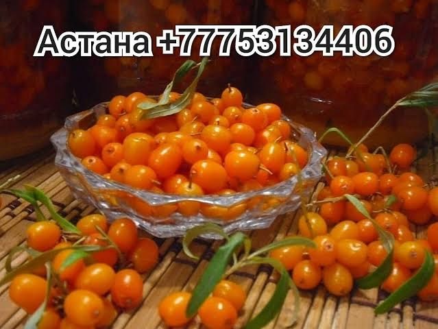 Облепиха Облепиха