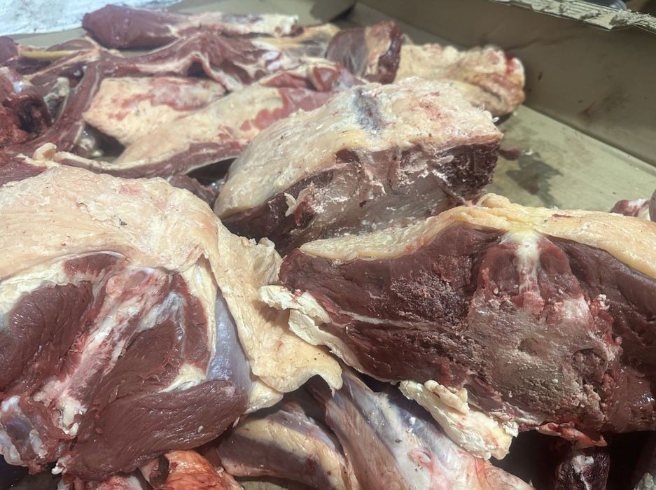 Қайын енесі күйеу балаға душта минет жасайды