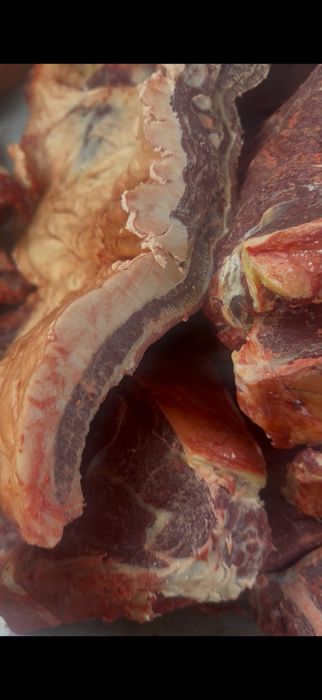 Согым байтал 1 аяк