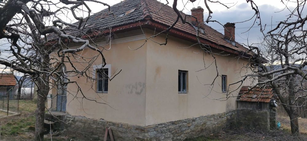 Casa batraneasca Malu cu Flori cu livada de meri