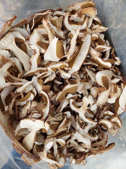 Hribi Uscati  cal.1 extra/kg