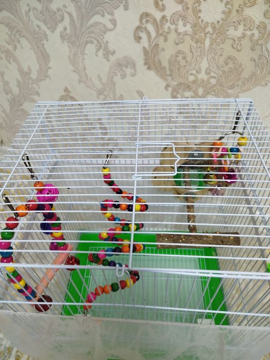 Продаю клетку для попугая