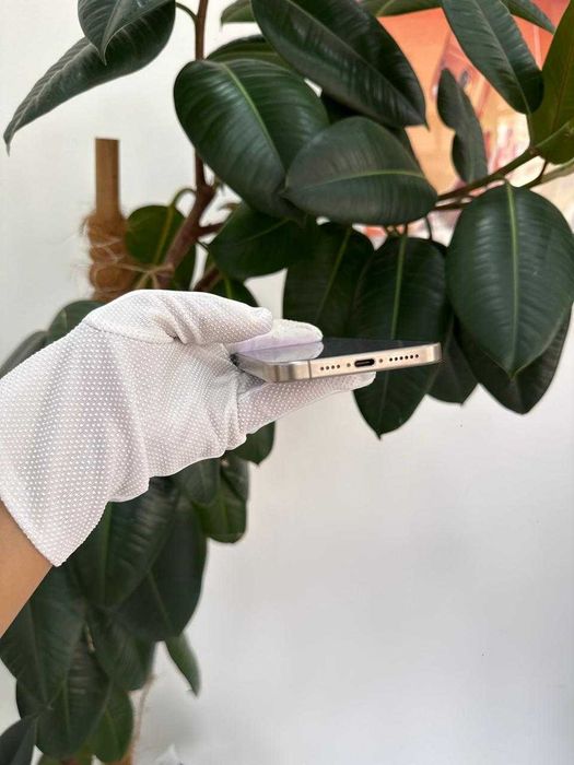 iPhone 15 Pro Max 512Gb Natural Titanium