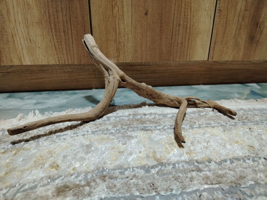 Азалия привазной коряга для аквариума