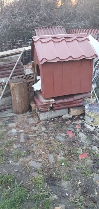 Vînd cușcă pt. Cîine