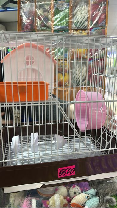 Животное,хомяк,небольшой