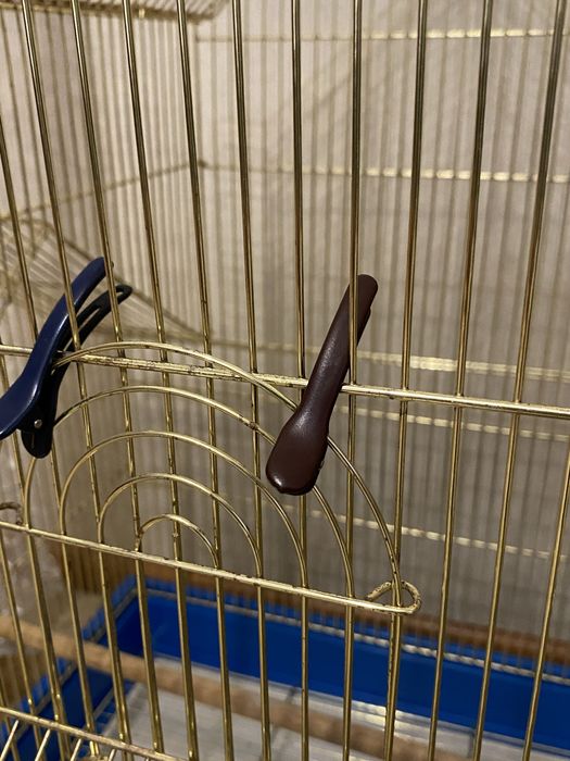 Продам огромную клетку (торг)