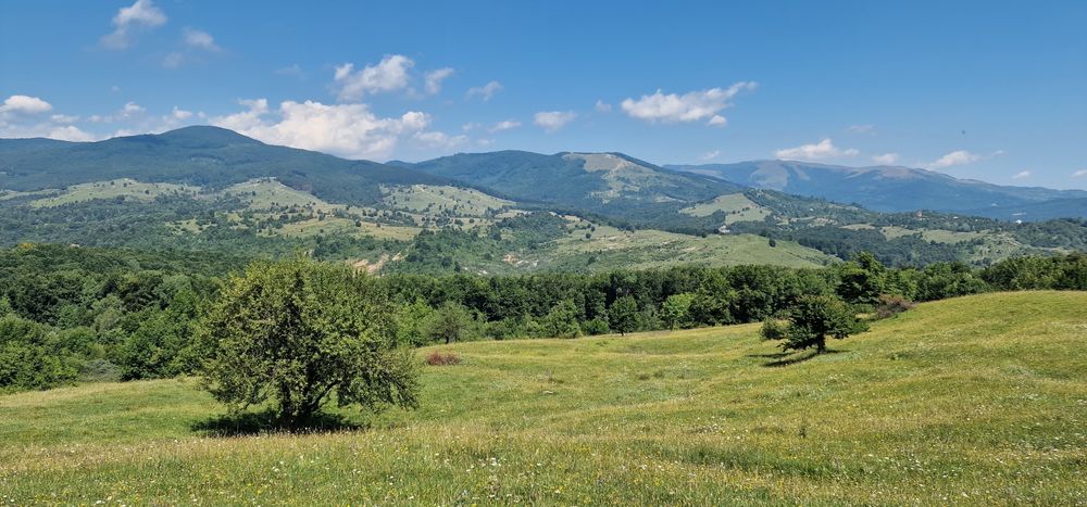 Teren Loturi Talea-Breaza lângă pădure