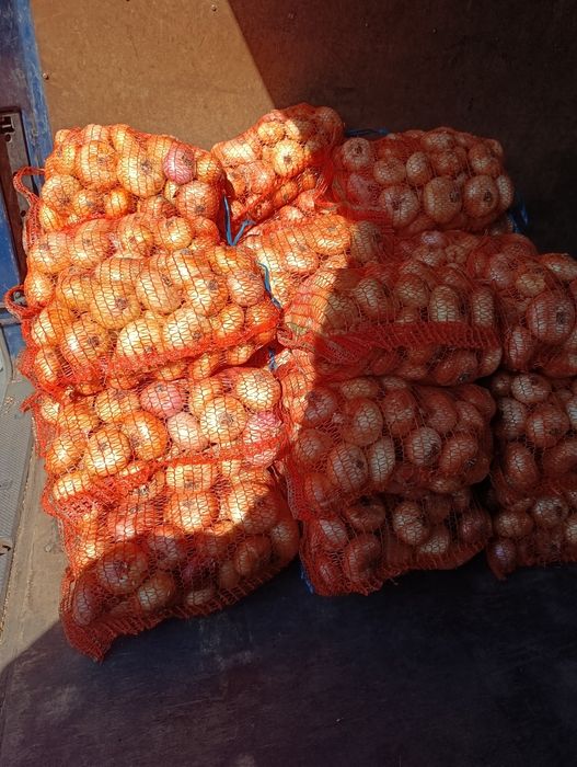 Ceapă românească