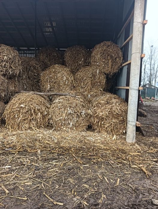 Vând baloți  coceni