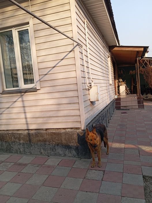 Продается отдельно стоящий дом