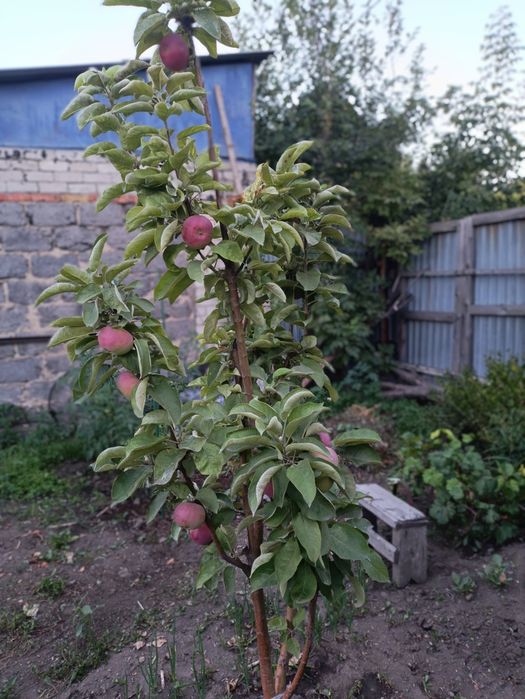 Продам дом пос.Красина