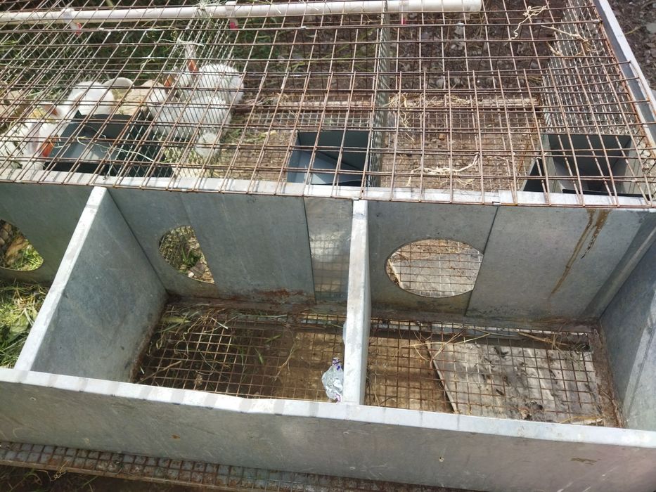 Куйон бокиш учун сетка. Хаманарсаси ичида