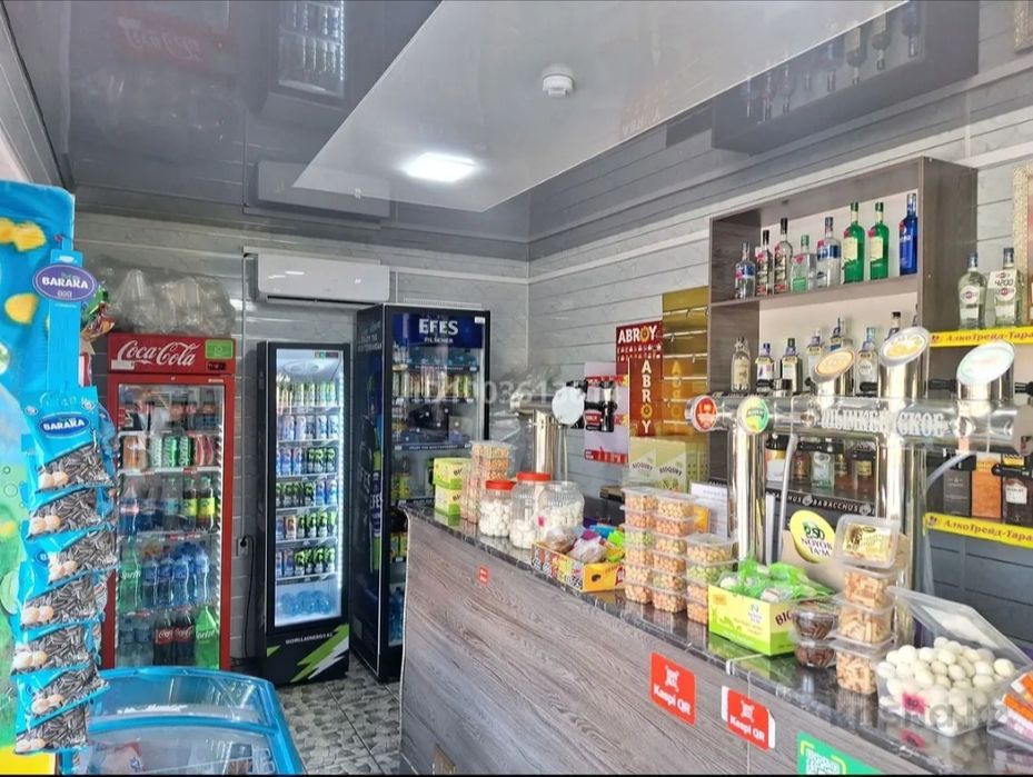 Продам дом с бизнесом