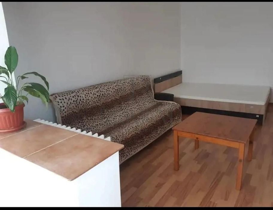 Apartament 1 camera-Mobilat-Utilat-Buziasului — fotografia 3