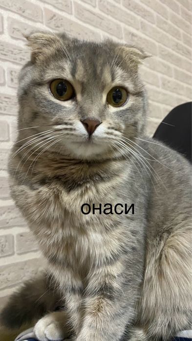 Yalangoch ijrochilar bilan teatr