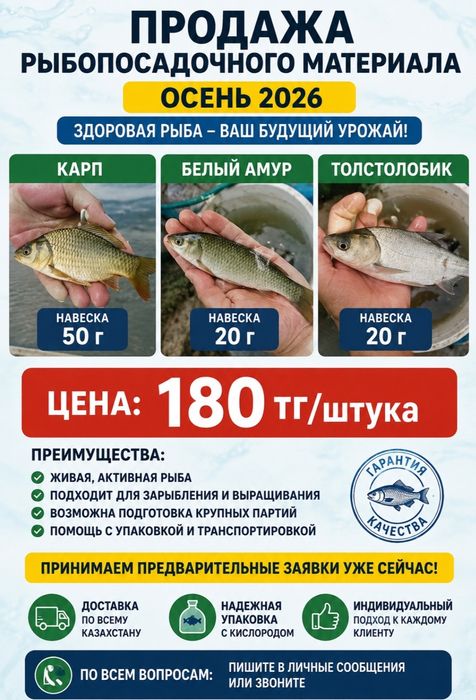 Малек к зарыблению на осень