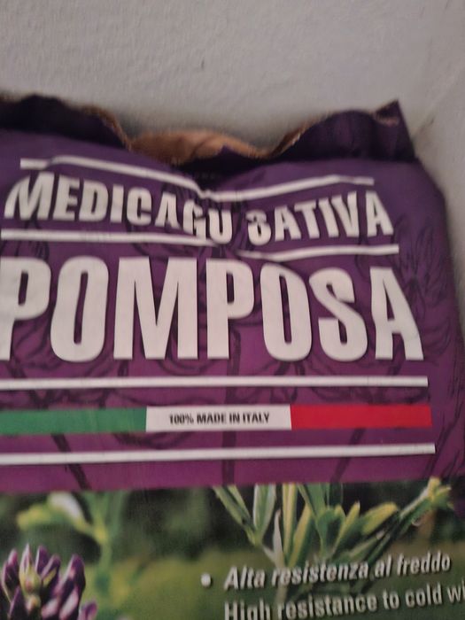 Samanta lucernă certificată