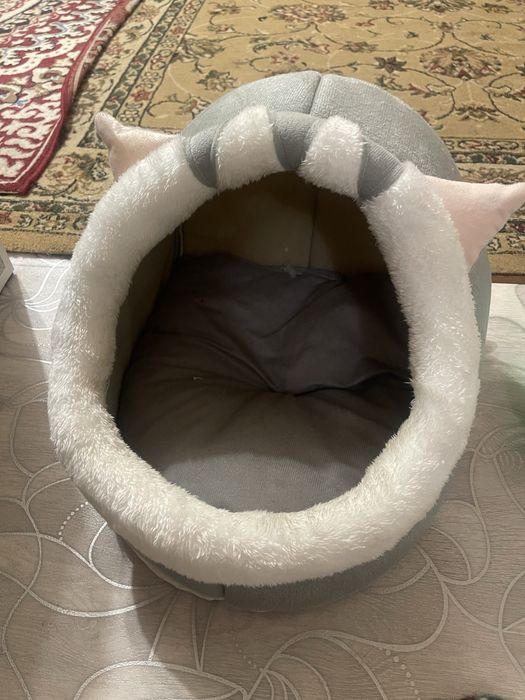 Комплект для кошки/котёнка