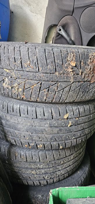 джанти за алфа .