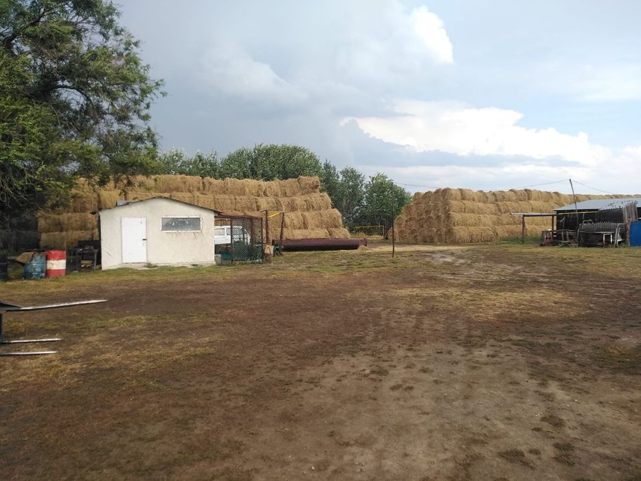 Продоется КХ в поселке Жанаталап