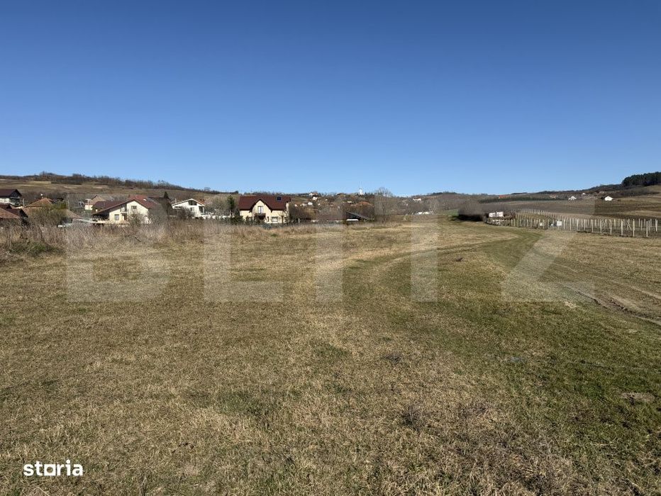 Teren intravilan in localitatea Hereclean in suprafata de 5800 mp