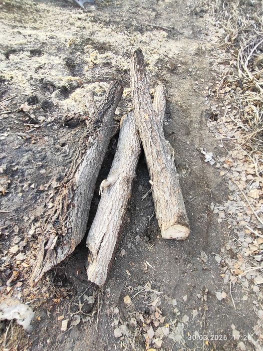 Продам дрова  САМОВЫВОЗ