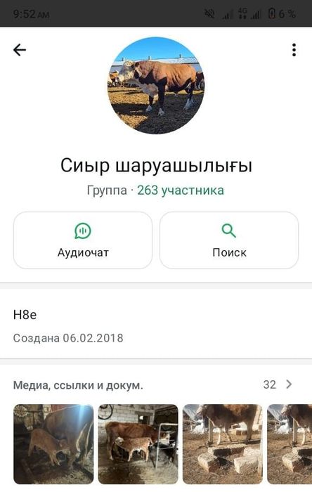 Сиыр,баспақ,бұқа, бұзау(группа)