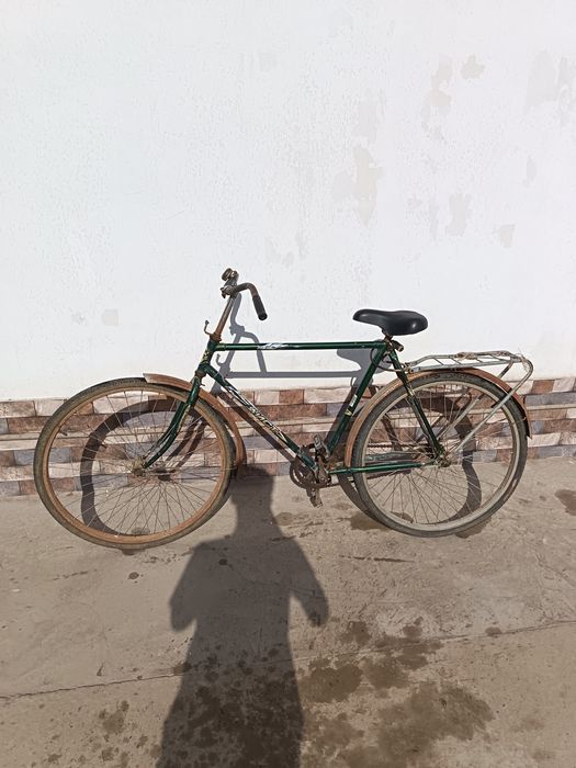 Velosiped kattalar uchun