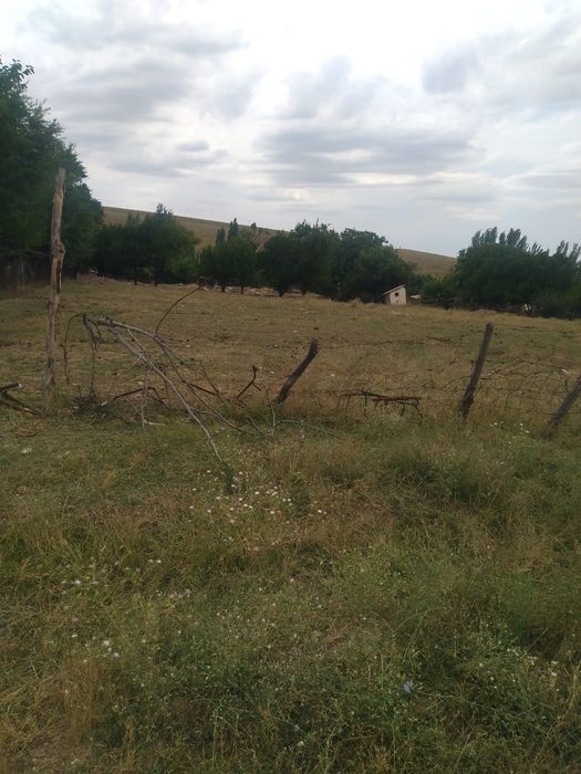 Жер Атбулақта 30 сотка