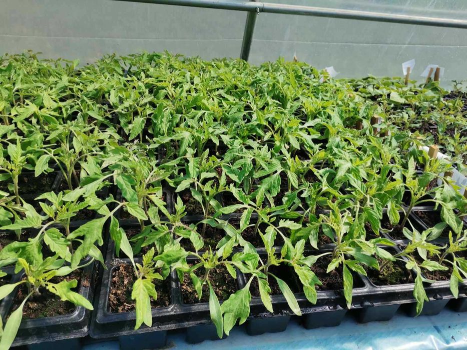 Икономично eл. отопление за разсад, парник , разсадник ,оранжерия !